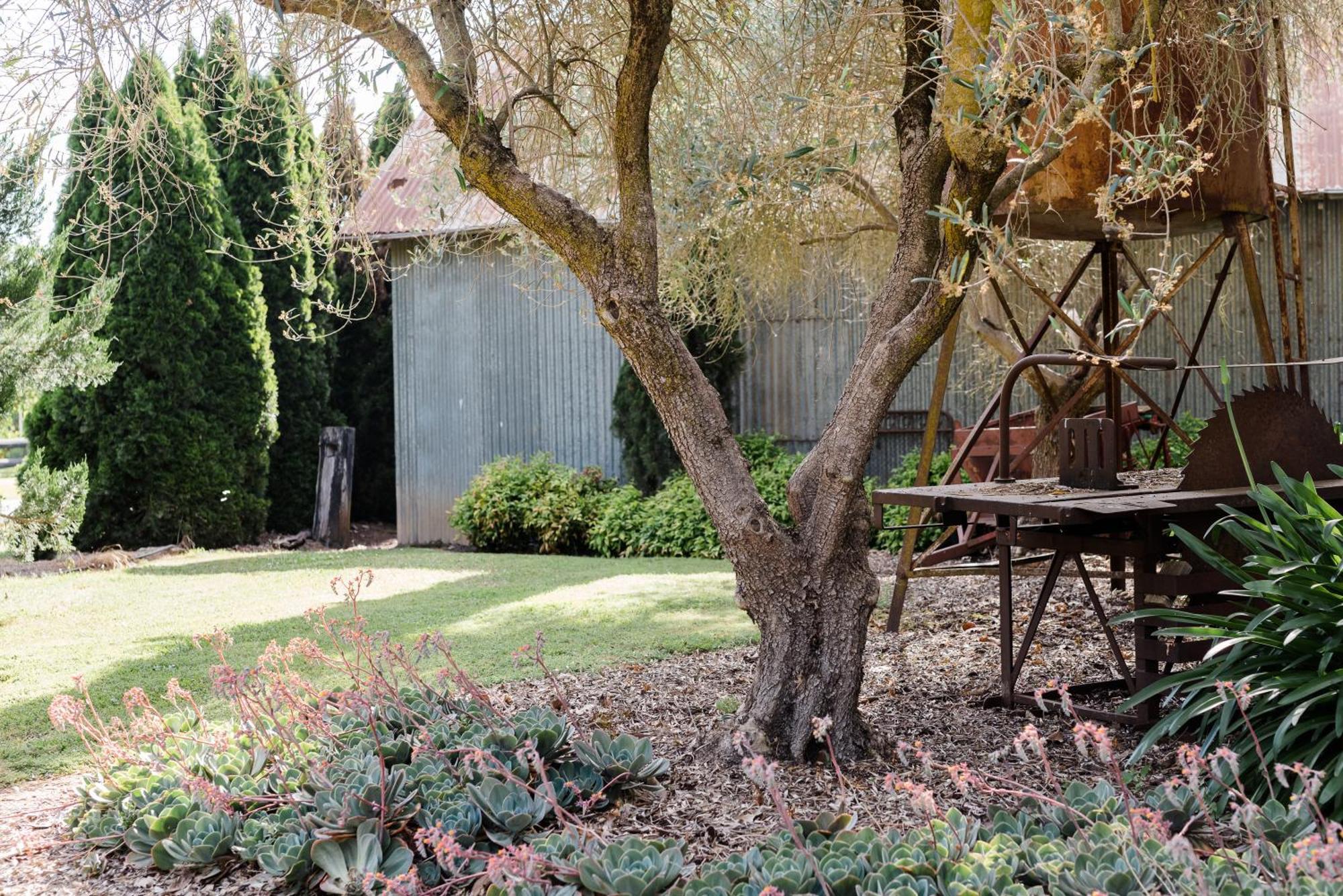 Walnut Tree Cottages Whorouly Exteriör bild